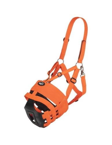 WEAVER Heavy-Duty 3in Back Cinch Brown