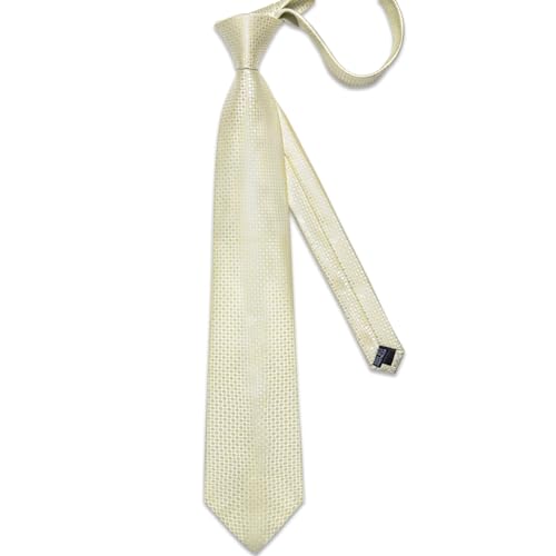 Image of DiBanGu Silk Ties for Men Necktie and Lapel Pin Brooch Set Formal Woven Paisley Plaid Striped Solid Tie Wedding Party