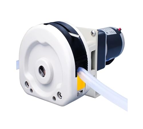 NNESKSX Bomba Bomba dosificadora de 6 l/min Bomba de Agua de 12 V 24 V for Sistema de dosificación de Transferencia de líquido Tratamiento de Agua por fertirrigación
