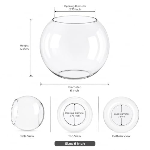 Image of SINOMAN Clear Glass Dome for Wall, Ceiling & Pendant Lights | durable Transparent