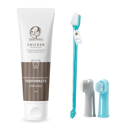 Image of Foodie Puppies Pet Dental Oral Care Combo of Toothbrush and Toothpaste - (3Pcs Toothbrush + Chicken Toothpaste, 100gm) Enriched with Baking Soda Soothes Inflame Gums and 3Pcs Toothbrushes