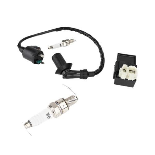 Bobine d'allumage CDI 6 broches pour moto ATC 200 et CH250