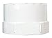ADAPTR 4"S3DX4"FPT SDR35 by PLASTIC TRENDS MfrPartNo P1404
