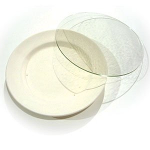 Wissmach Black 10 inch Circle - 96 Coe