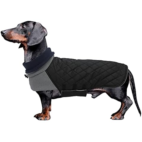 Geyecete Waterproof Dachshund Winter Coat Cover
