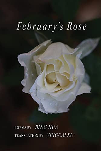 February's Rose