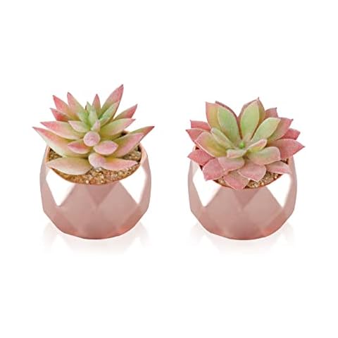Artificial Plants Desk Fake Succulents Indoor Decor Office Room Decoration Small Tiny Realistic Plants in White Ceramic Potted (Pink-Gold) Cover
