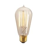 Bulbrite 134019 40W Nostalgic Edison Squirrel Cage-style Bulb