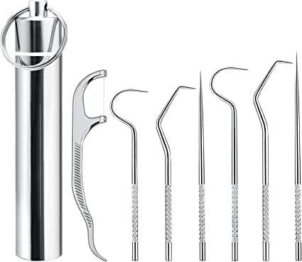 Snevad 7Pcs Tooth Cleaning Kit Portable Metal Toothpicks Reusable Stainless Steel Pocket Holder Dispenser Outdoor Picnic Camping Traveling Set tooth Travel