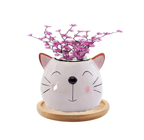 zmgmsmh Small Ceramic Succulent Pots Indoor Animal Shaped Planter Outdoor Cute Cactus Flower Pots with Drainage for Office Desk and Home Garden Decor (Cat)