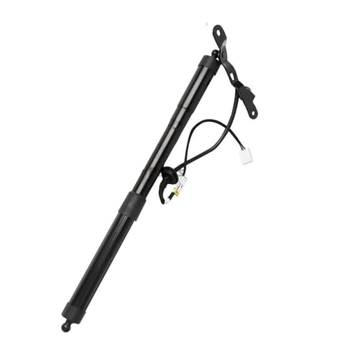 Vérin à gaz pour Toyota RAV4 2013-2018 : hayon électrique OE 6891009010