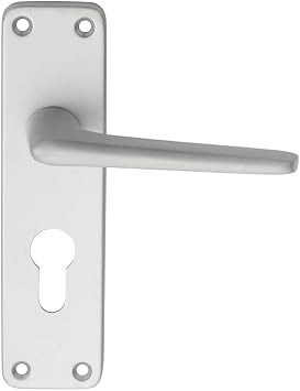 Carlisle Brass - SAA21Y - EUROSPEC - Aluminium on Backplate Euro - Finish - Satin Anodised AluminiumSAA