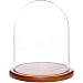 Plymor Brand 8" x 10.25" Glass Display Dome Cloche (Walnut MDF Base)