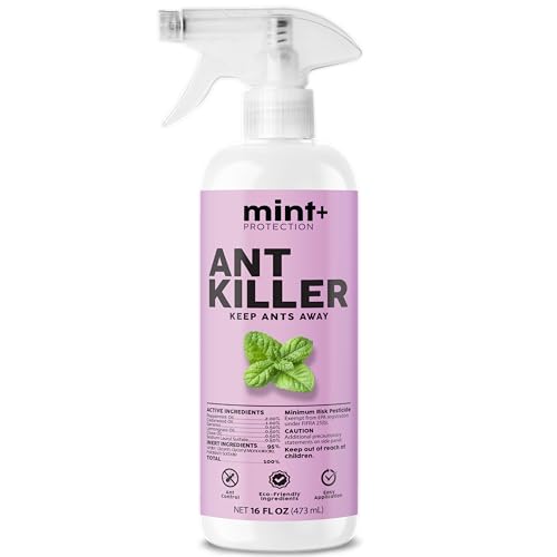 Mint+ Ant Killer Spray, Ant Spray for Indoor & Outdoor Use, 16 oz (475mL)