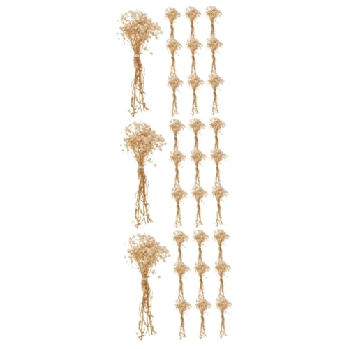 TEHAUX Ramillete 3pcs Flores Secas Ambientales
