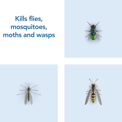 Raid Fly, Wasp & Mosquito Killer with Eucalyptus Aroma Oil, Fly Killer Spray For Indoor Use, Pack of 6 (6 x 300ml) - Image 2