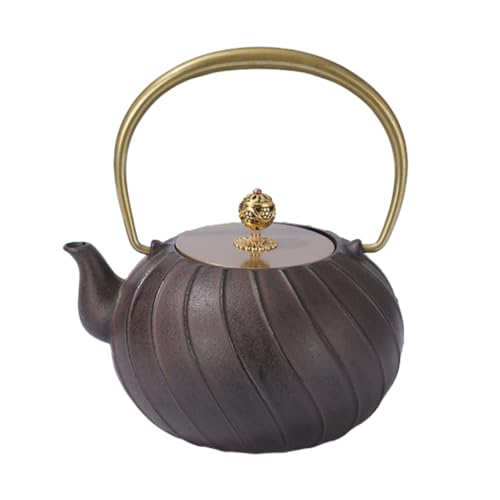 Vifxucy 鉄瓶 南部鉄器 急須 やかん 直火 IH対応 お茶セット 大容量1200mL 伝統工芸 鉄器 鋳物 家庭用 オフィス用 業務用 (H)