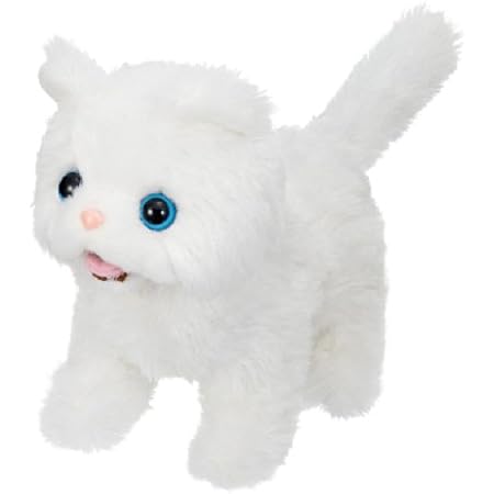 Amazon Co Jp あかちゃんペルシャ ぬいぐるみ おもちゃ