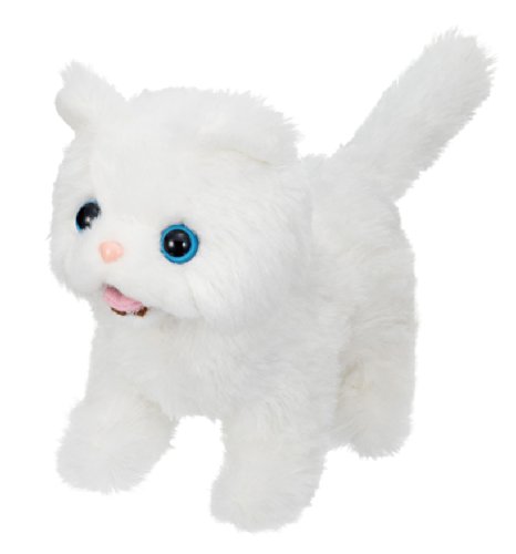 生後２ヶ月♡ペルシャ♡子猫ちゃん♡アートドール♡ぬいぐるみ♡ 生後2ヶ月♡ペルシャ♡子猫ちゃん♡アートドール♡ぬいぐるみ♡ 生後2