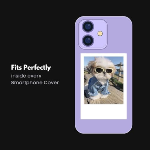 Image of Cute Dog & Puppy Poster Polaroids | Dog Memes Mini Posters Kit (Set of 15) | Dog PFPs Collage Kit Polaroids Sized (8 x 6 cm) Posters for Phone Accessories, Bedroom, Office, Living room (Dog Memes)