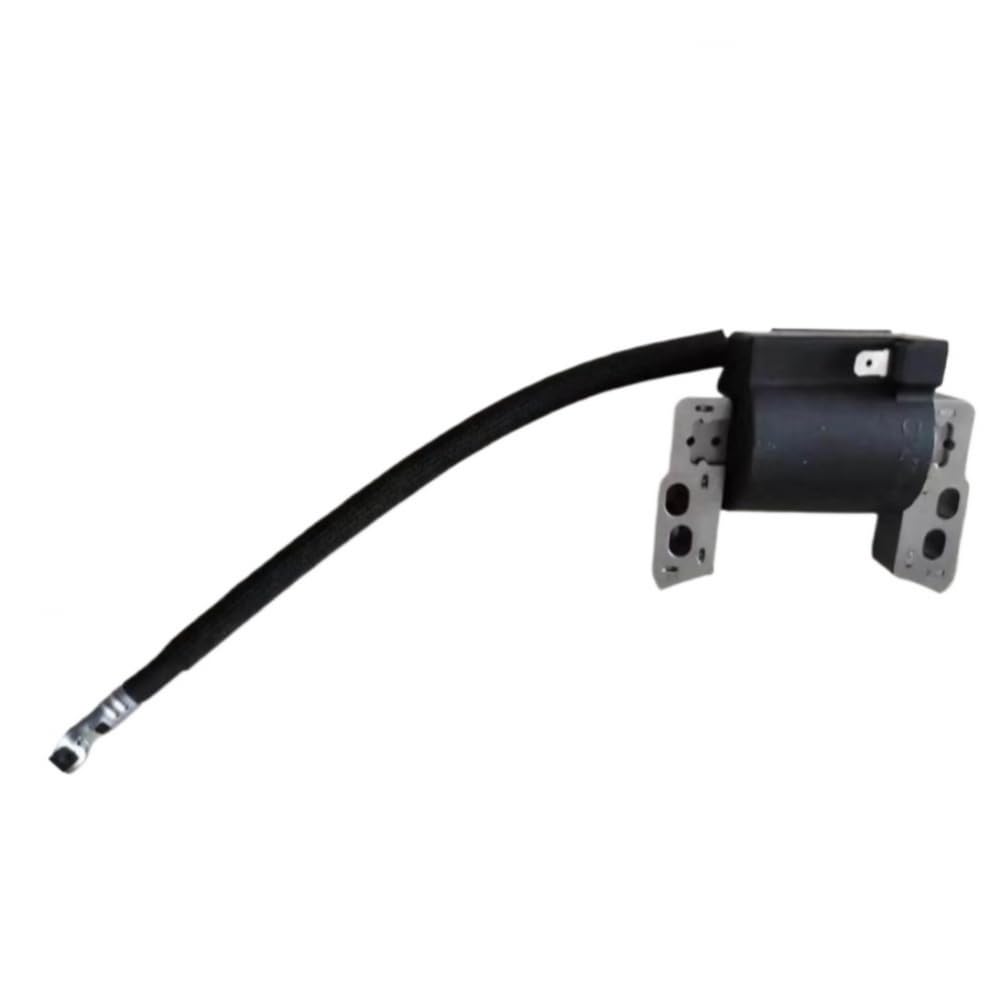 Bobine d'injection compatible moteur BS pour machine de vapeur - 4