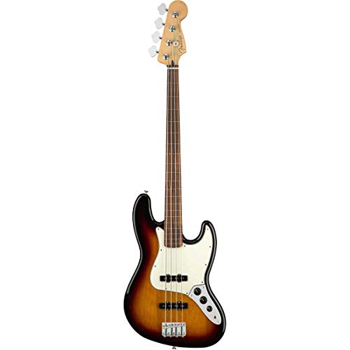 8 Best Fretless Bass Guitars in 2024 (Expert Picks)