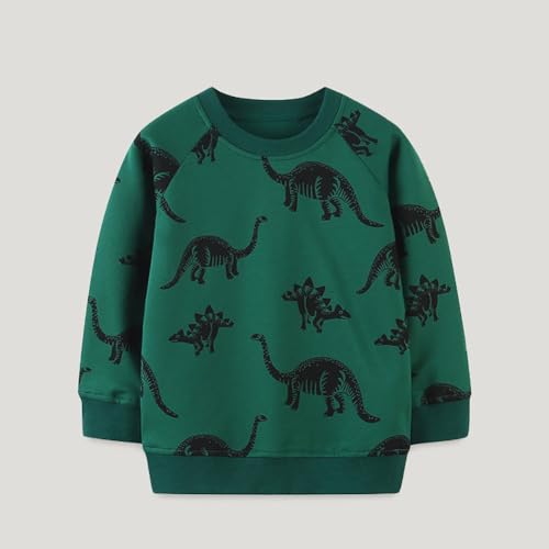 Boys Sweatshirts Long Sleeve Sweatshirts T-shirts Crew Neck Cotton Casual Sweatshirts Cartoon Tops for Boys-574