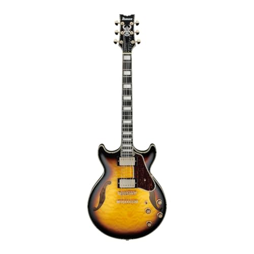 Ibanezセミアコ　AM93QM-AYS 20220108-4549763061898_9.jpg