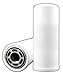 Big Filter Replacement Spin-On Filter Compatible with Donaldson/FBO/DCI P165338