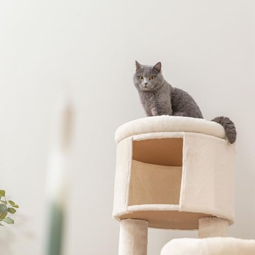 Árbol para gato TRIXIE Aidan 53 pulgadas con cama y rascadores miniatura 2