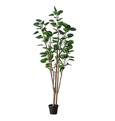  z[ kX^C tH[` lH A ^ V~[V  A rO[ r[  sv(180cm)