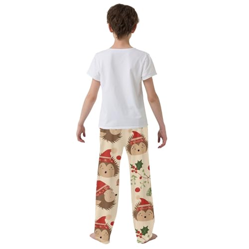 ZZXXB Hedgehog Holly Leaves Boys Long Pants Soft Trousers Elastic Waist Kids Lounge Bottoms with Pockets S-XL3