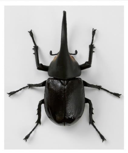 Amazon.co.jp: 未組立いきもの大図鑑 かぶとむし05 サタン