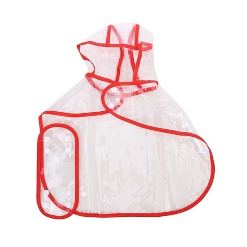 Correas Perros Pequeños Pomeranias Marca KCHYCV