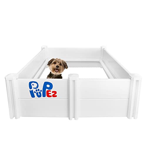 10 Best Top 10 Dog Boxes Reviews & Comparison of 2022
