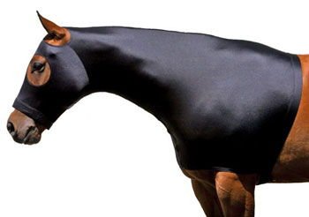 Image of XLarge Horse Comfort Stretch Spandex Neck Hood Mane Stay Black 521MW04BK