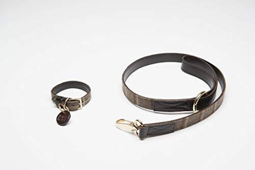 TAIL-OR-MADE Hackney - Set Collare e guinzaglio