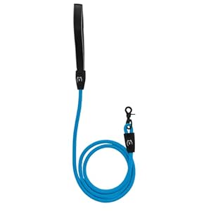 ShawnCo Basecamp Rope Dog Leash- Premium, Durable Pet Leash with Soft Neoprene Padded, Reflective Handle for Small, Medium and Large Dogs (Oceanic Blue, 5 Feet)