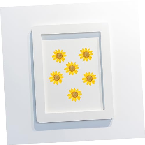 Flores secas prensadas para manualidades 96 piezas miniatura 7