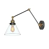 LNC Plug-in Wall Lamp Adjustable Wall Sconces Clear Glass Swing Arm Sconces Wall Lighting