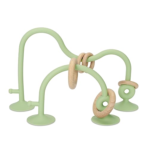 Image of Socub Silicone Baby Sensory Toys, Educational Toys for Baby 6 12 18 Months, Parent-Child Toys with Suction Cup, 2 Pack(Olive)