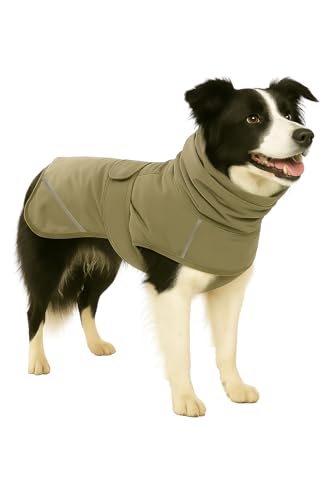 Flamingo Hundemantel Winter – Cujo Grün – 55cm – warm & modisch – Polyester – wasserabweisend – isothermische Innenschicht – Klettverschluss – reflektierende Streifen – Geschirröffnung