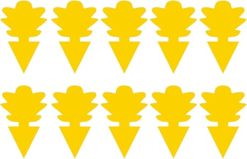 Confezione da 40 trappole adesive per moscerini e moscerini per la frutta e la mosca per più insetti, controllo delle piante