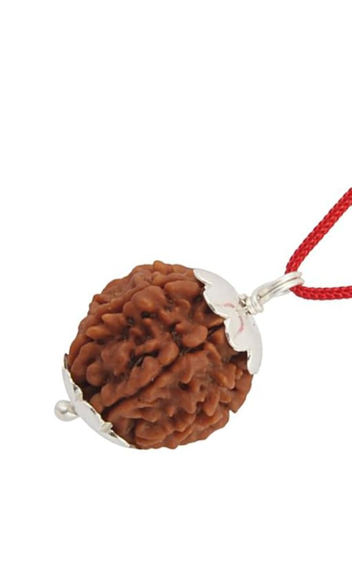 6 Mukhi Faced Rudraksha, Unisex