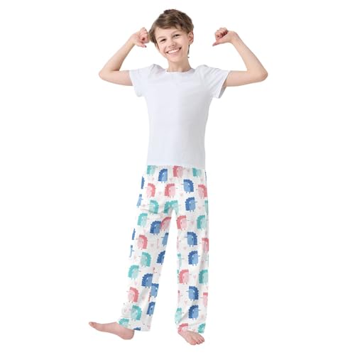 Colorful Hedgehog Love Heart Boys Long Pants Soft Trousers Elastic Waist Kids Lounge Bottoms with Pockets S-XL2