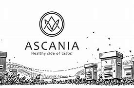 2 Pack Ascania Linden Honey 100% Pure Natural Glass Jar 22.9 oz / 650 gr Product of Ukraine