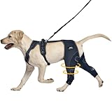Dog Leg Brace, Support for Pets with ACL Injuries, Keeps Knee Joints Warm and Stable, Adjustable Dogs Rear Leg Wrap Harness Personalized Set for Leg Wound Care and Lick Prevention