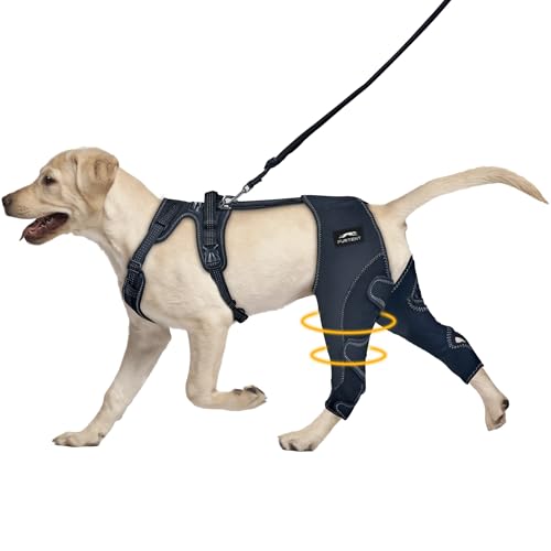 Dog Knee Brace with Adjustable Leg Support