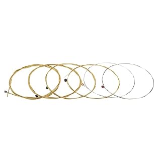 SHUIYUE TX630 Cordes de Guitare Acoustique (0,011 à 0,052) 75/25 Phosphor Bronze,Instrument de Guitare - Les Beatles, Paul McCartney, John Lennon, RIngo Starr, George Harrison SHUIYUE TX630 Cordes de Guitare Acoustique (0,011 à 0,052) 75/25 Phosphor Bronze,Instrument de Guitare – Image 6