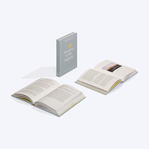 Reasons to Be Hopeful: What Remains Consoling, Inspiring and Beautiful